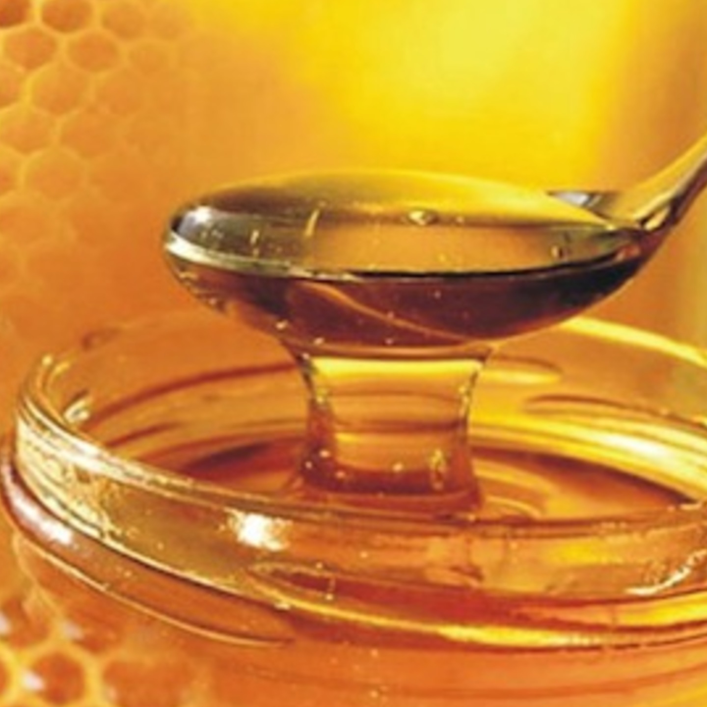 Forest Honey - 500 Gm 100% Pure and Natural from Sundarbans.