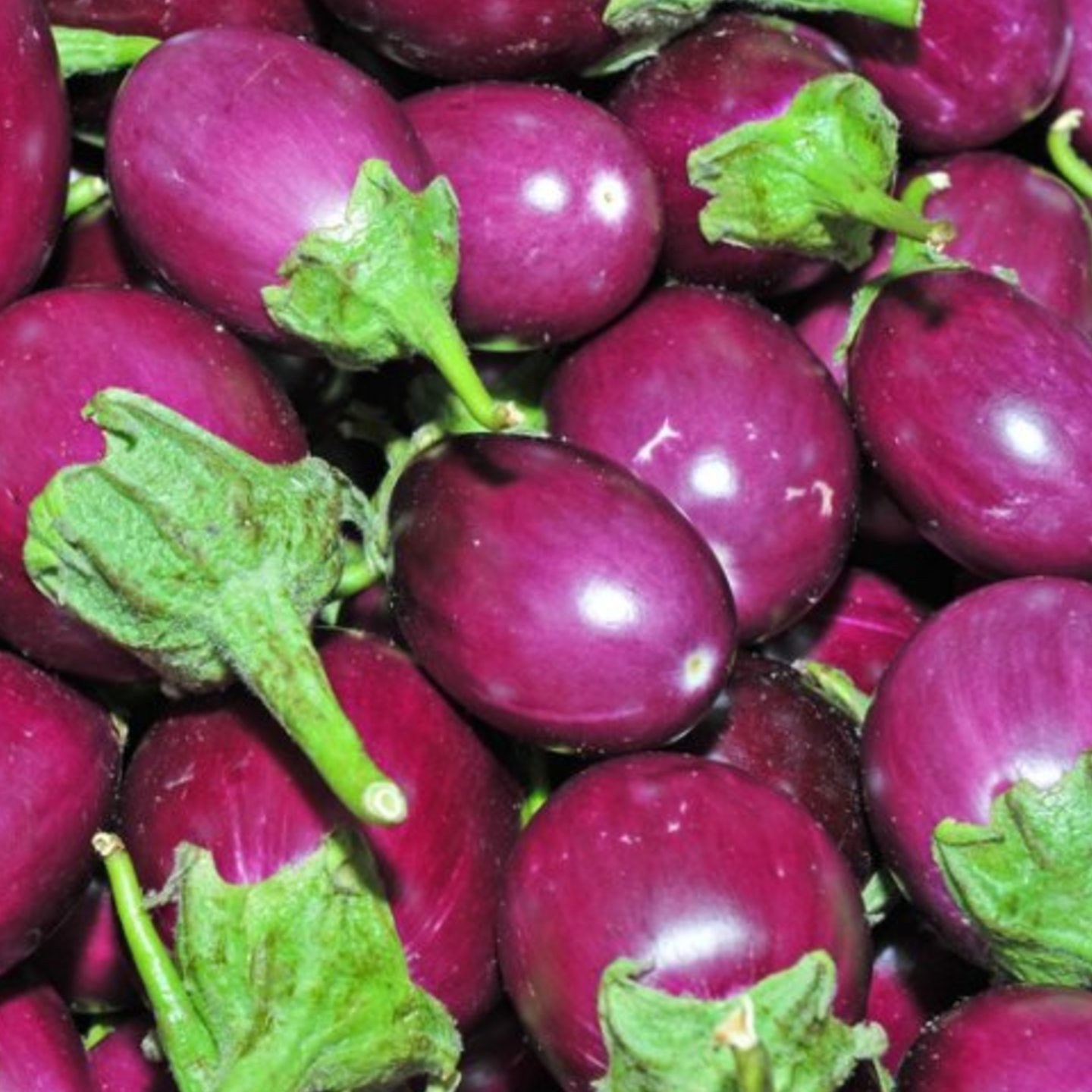 Begun 500gm - (Brinjal) Regular 