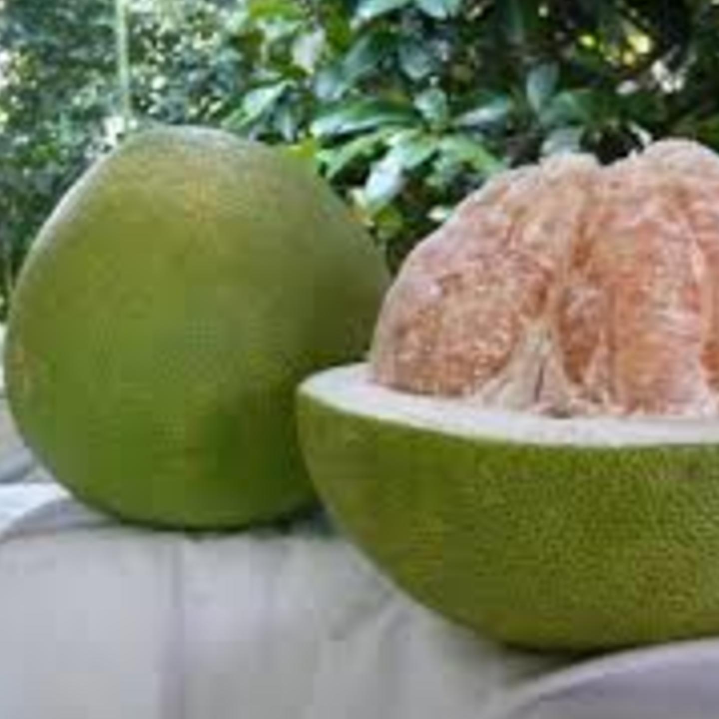 Pomelo - 1 Pc (Batabi Lebu / Grape Fruit)