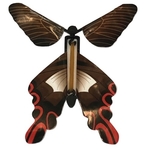 Play N Learn Science Experiment / Mini Science Toy - Twisty Fly