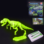 Play N Learn Glow In The Dark Dinosaur Excavation Kit - T-Rex
