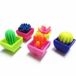 Science Educational Toy For Kids Play N Learn Party Gift Growing Cactus 4 pieces per pack