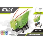 STEM Battery Operated Self Assembly Robot Grasshopper Toy Gift for Kids