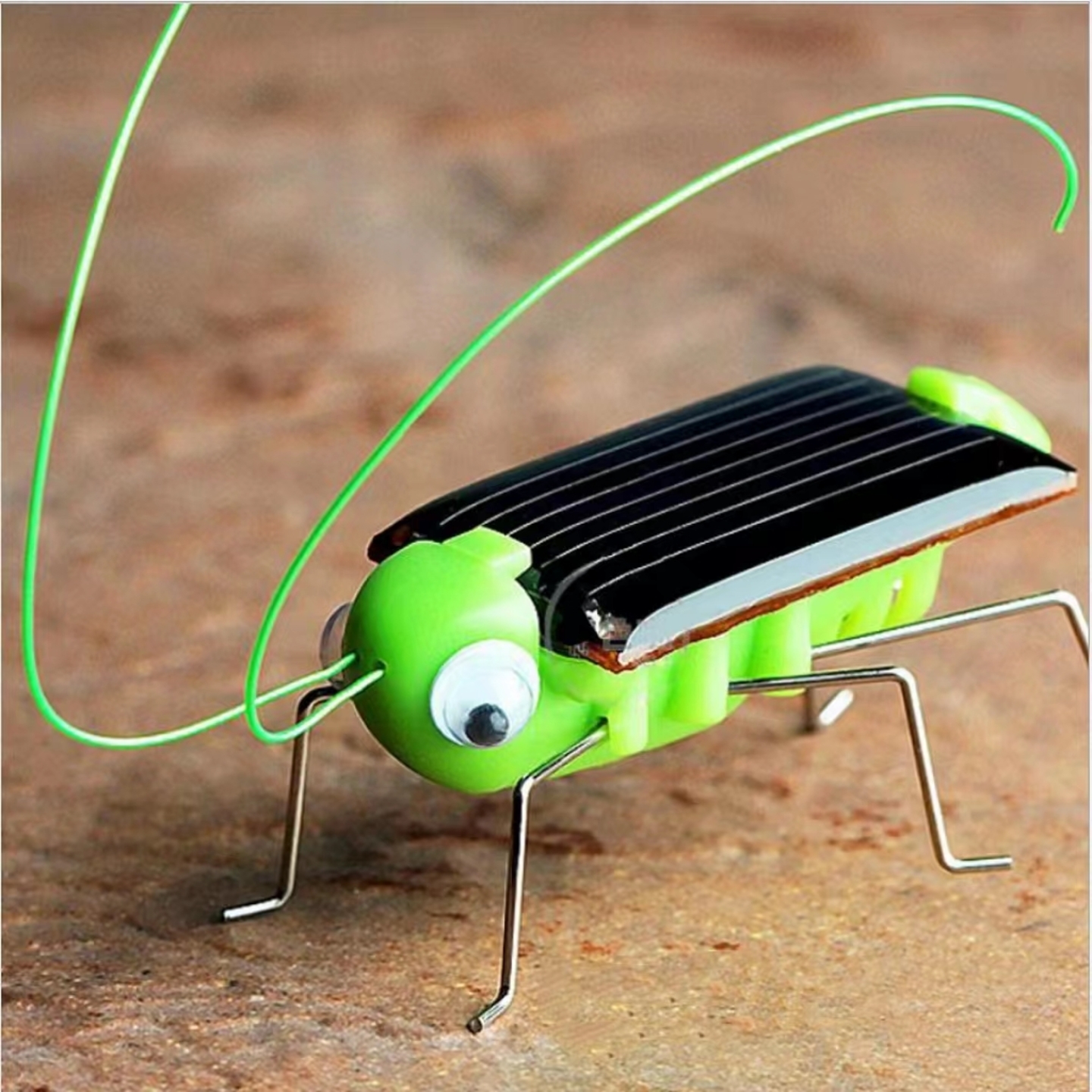 Solar Powered Grasshopper Bug Toy for Kids
