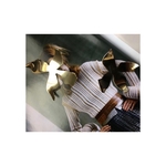 img-1536416425829