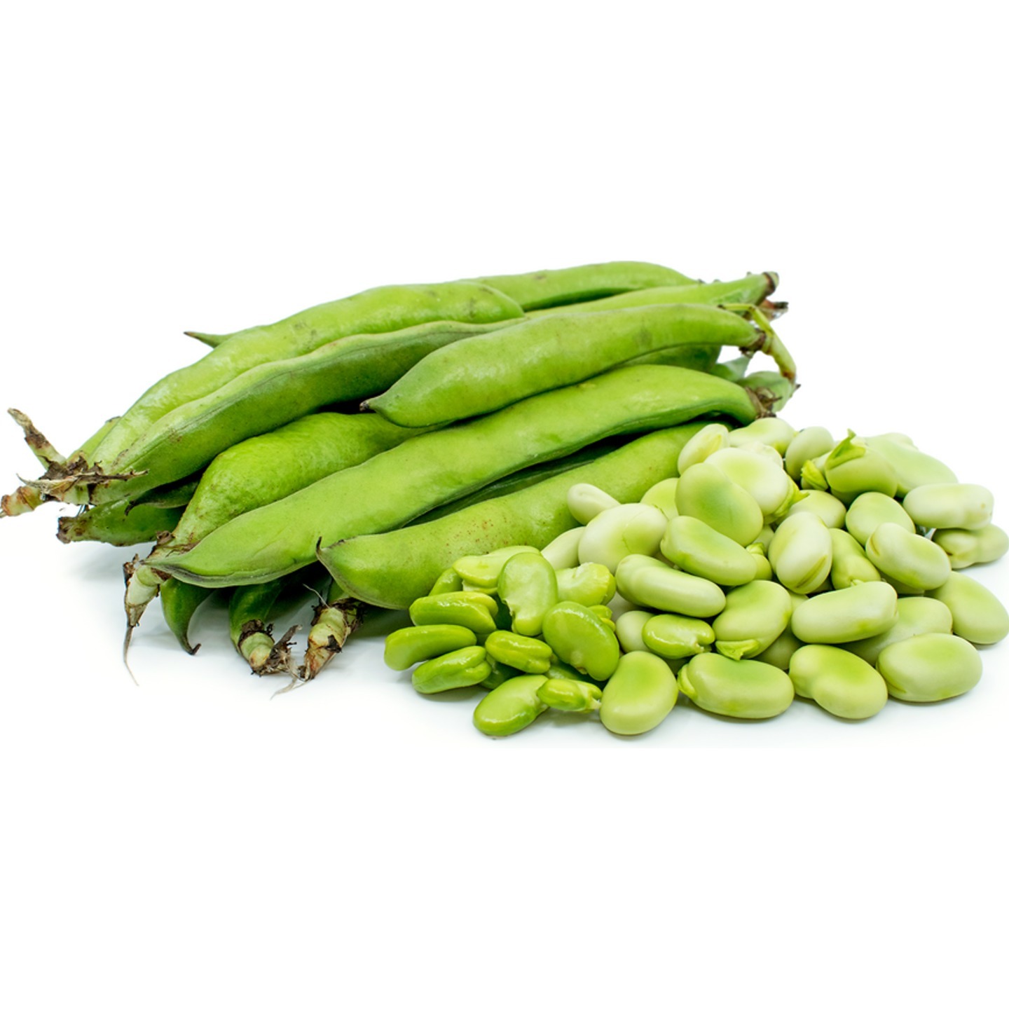 Broad Beans