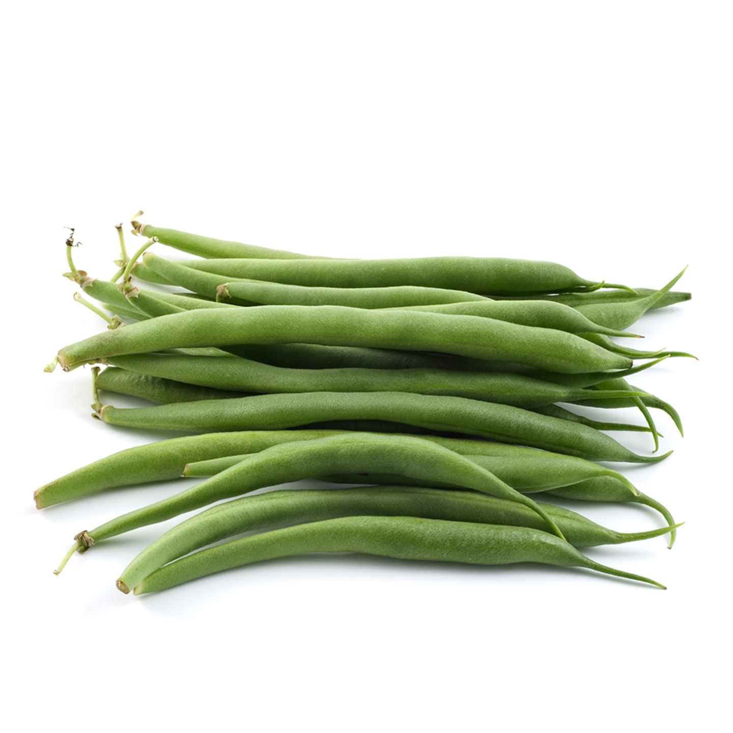 Bush Beans