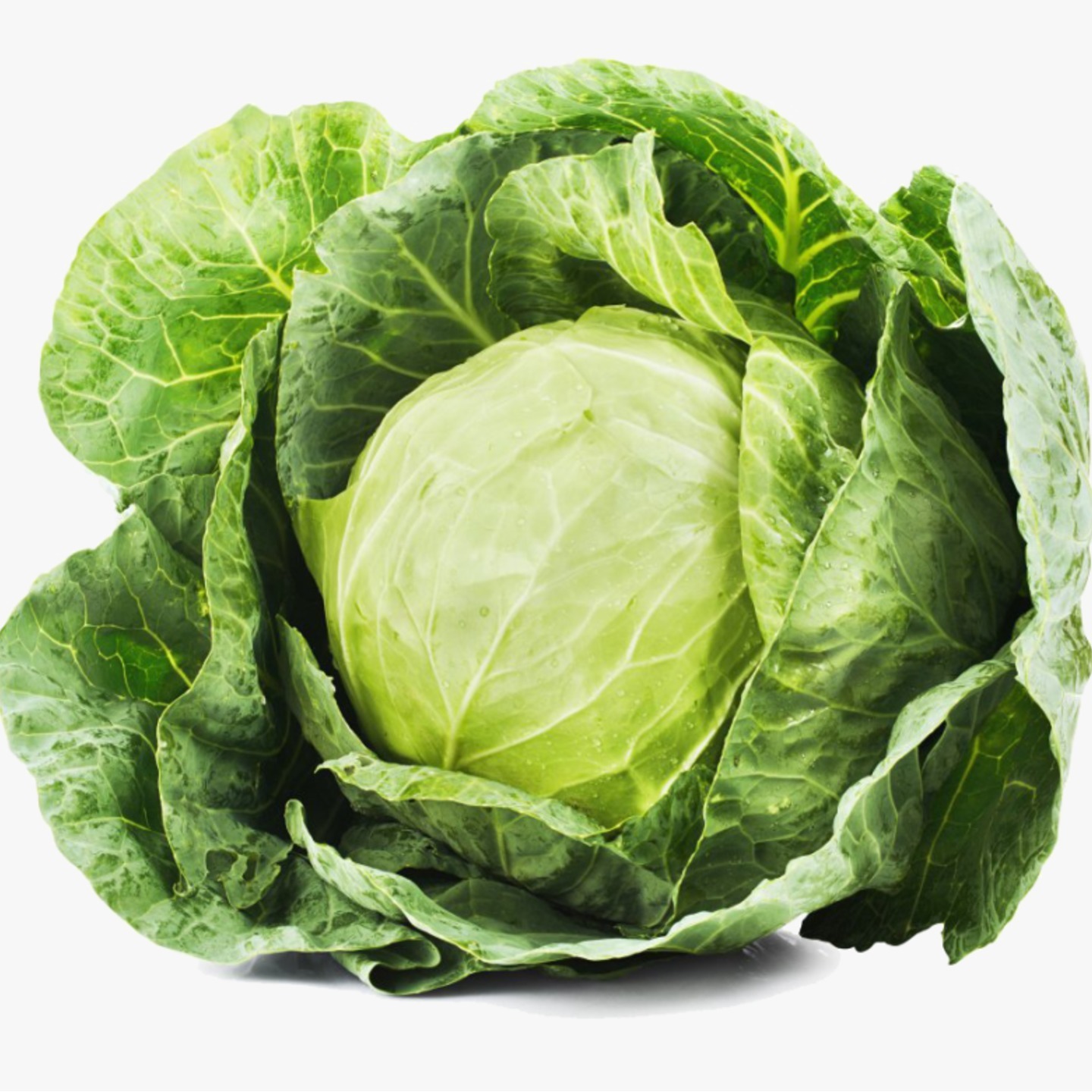 Cabbage