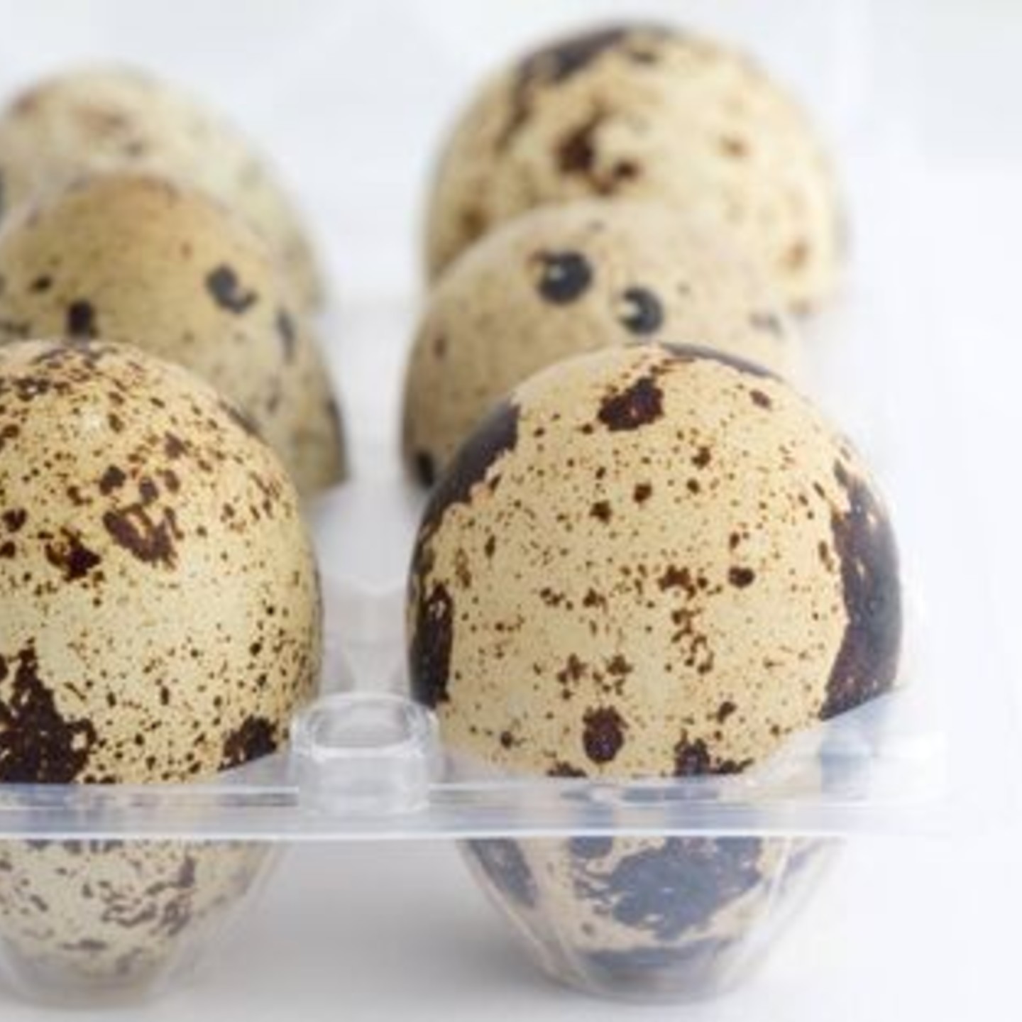 Quail Eggs