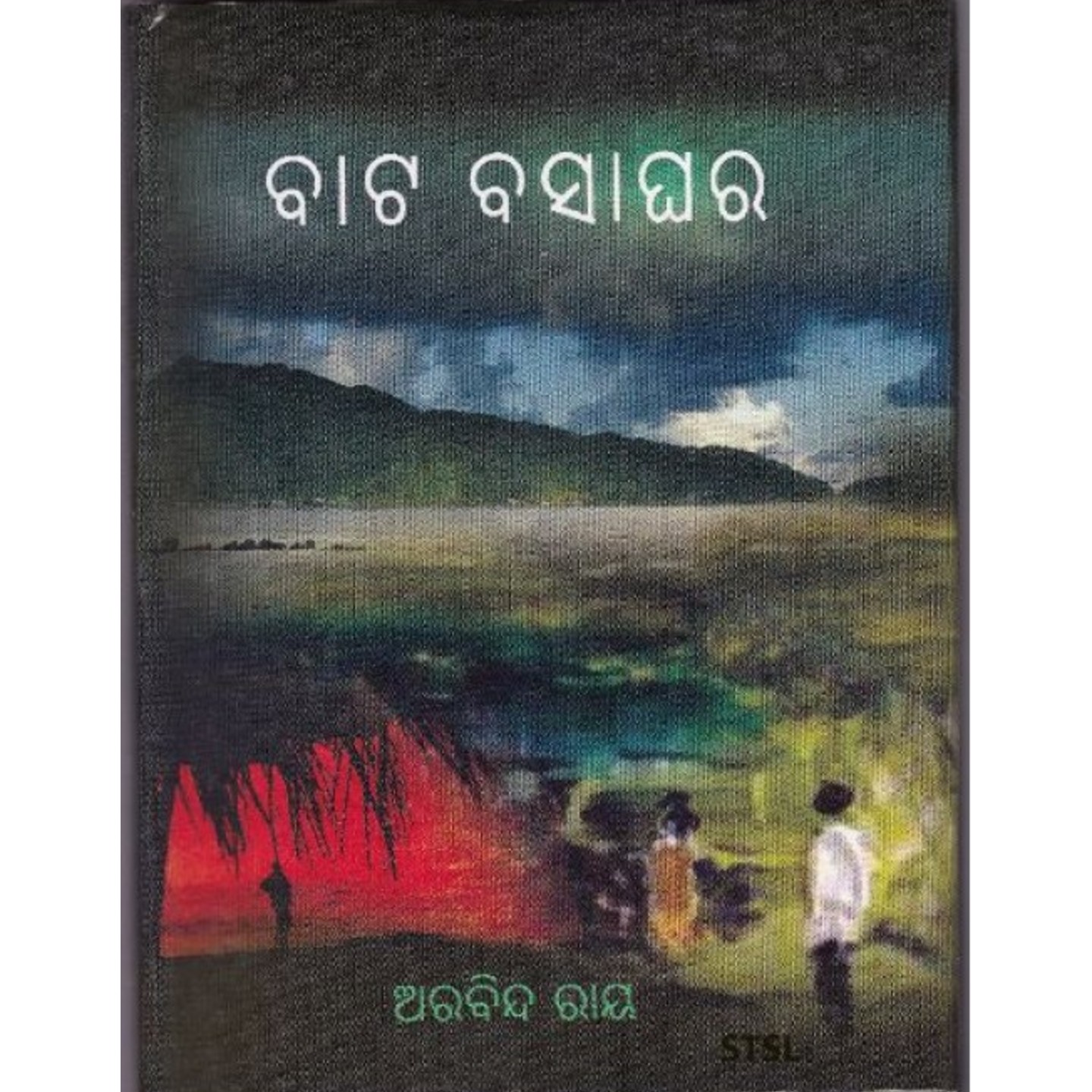 Bata Basaghara (Odia Novel)-508x696.jpg