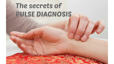 Secrets-of-pulse-diagnosis-1024x683.jpg