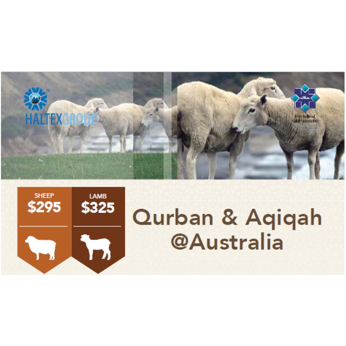 Qurban & Aqiqah LAMB