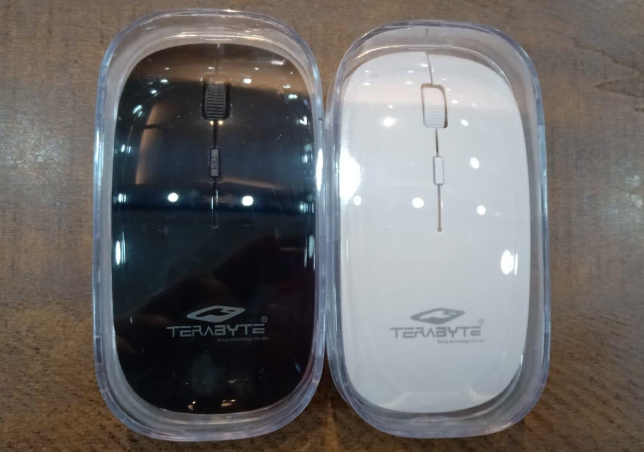 TeraByte Wireless Mouse