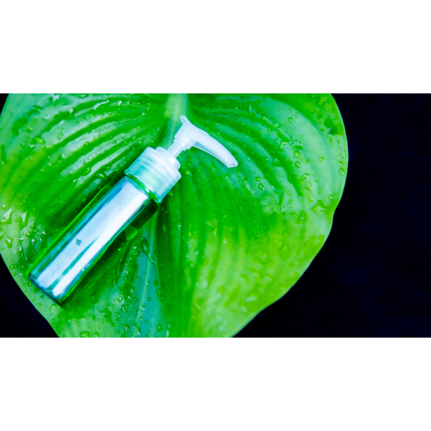 test image size
