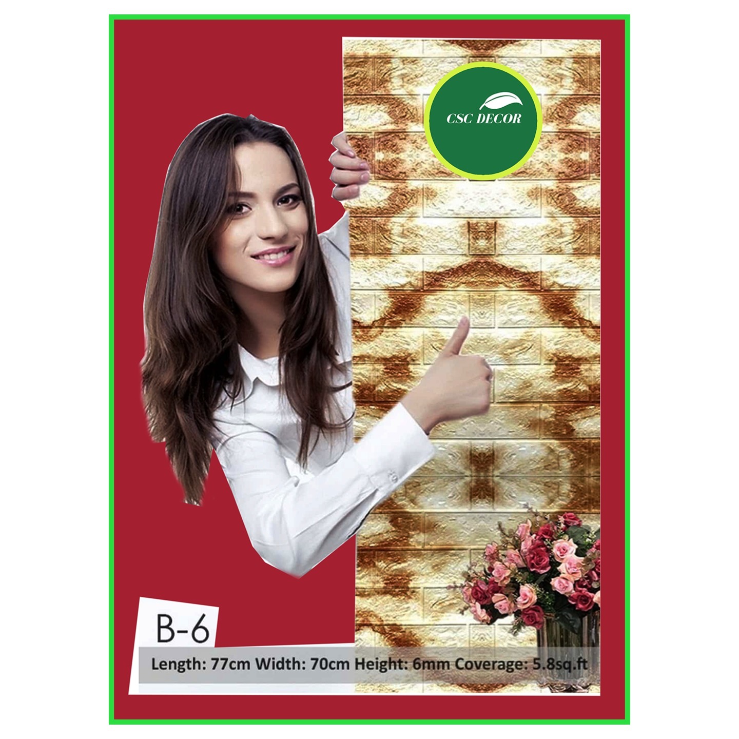 CSCDVD-B-0006