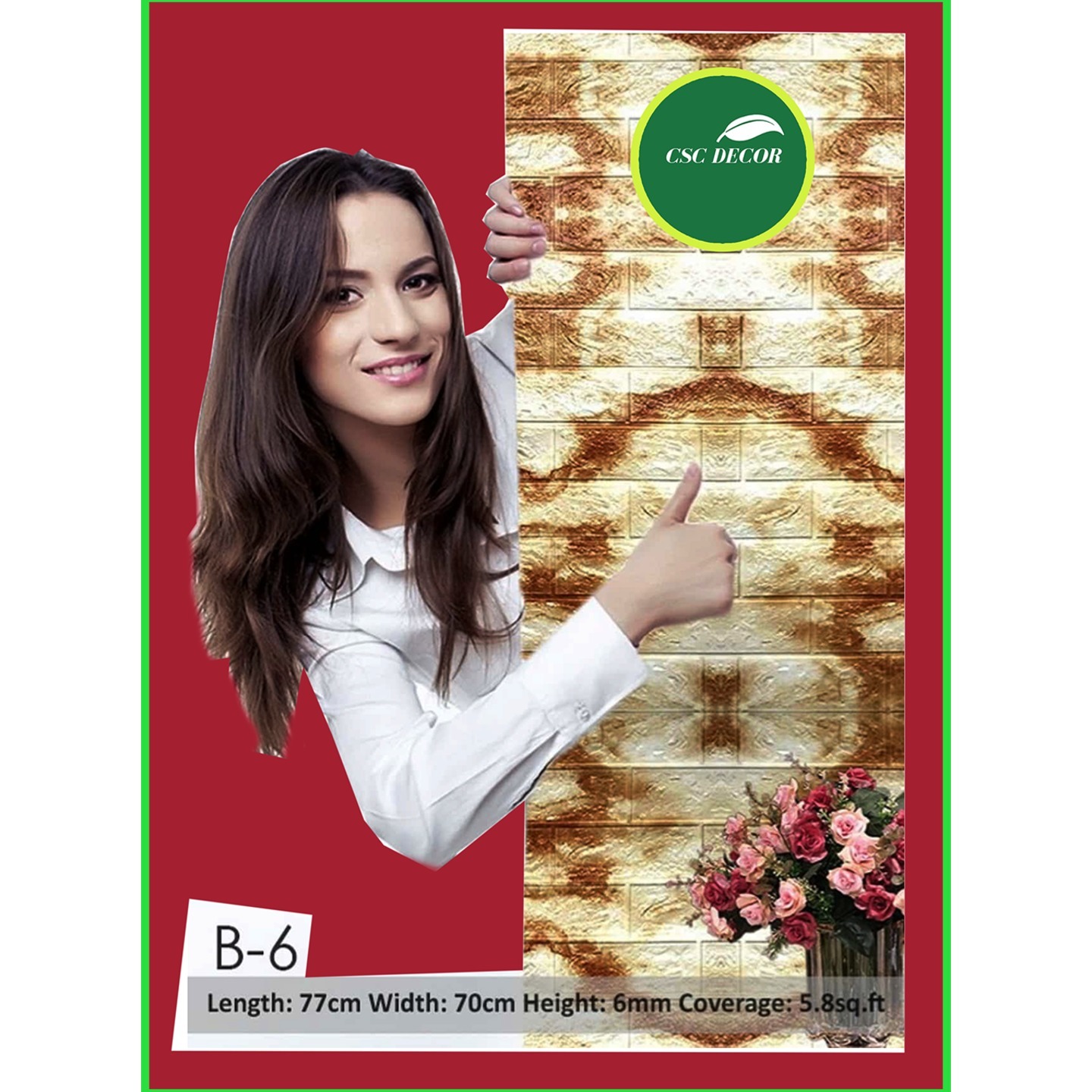 CSCDVD-B-0006