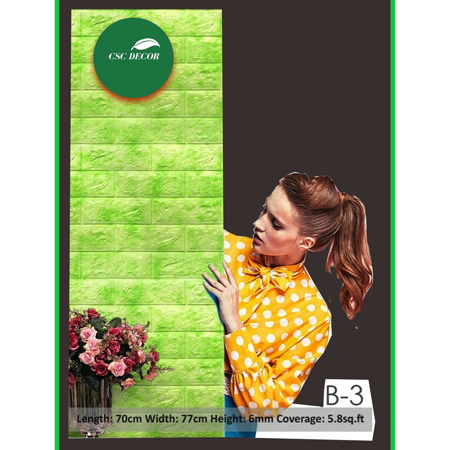 CSCDVD-B-0003