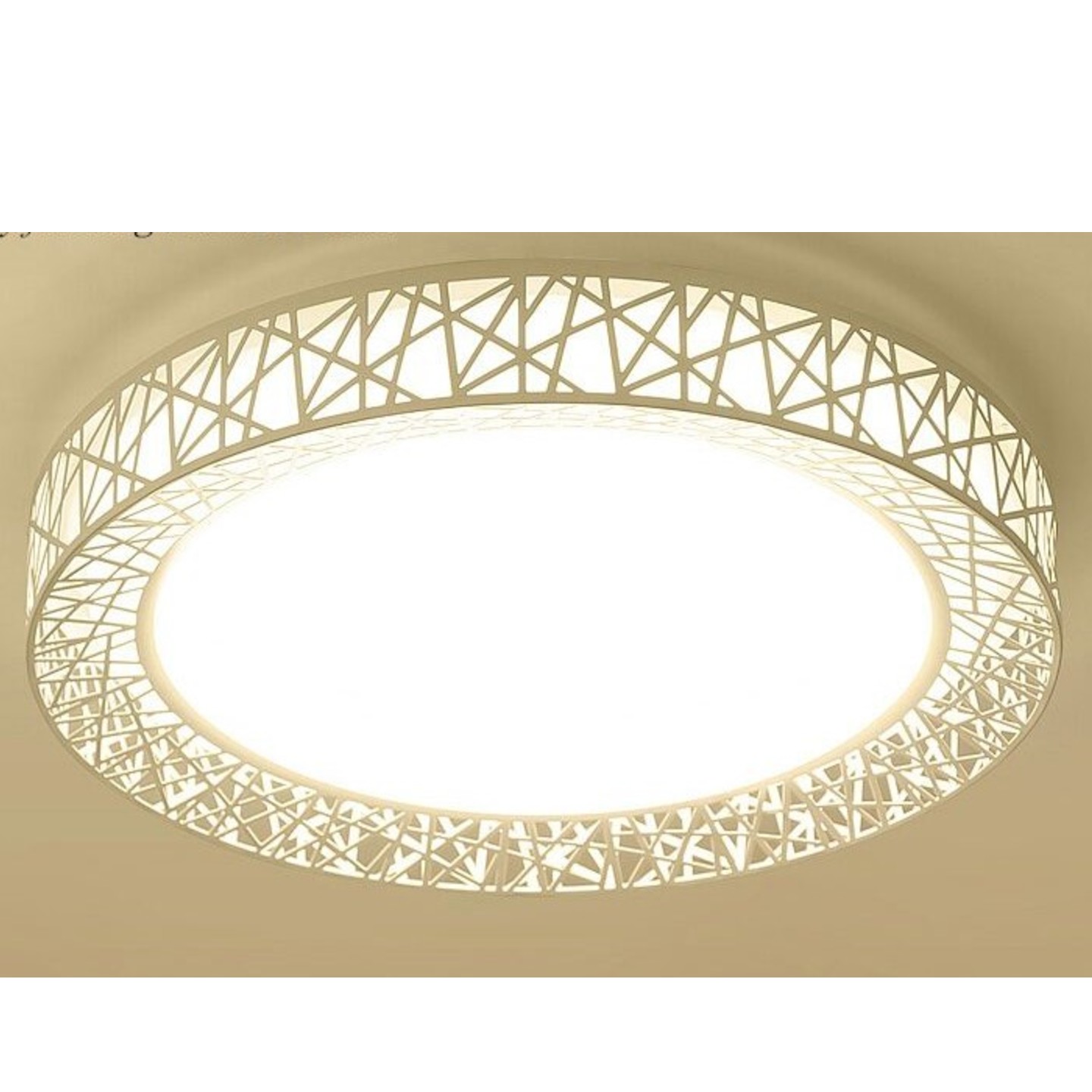 LED Acrylic Bird Nest Style Ceiling/Living Room/Bed Room/Kitchen Light 