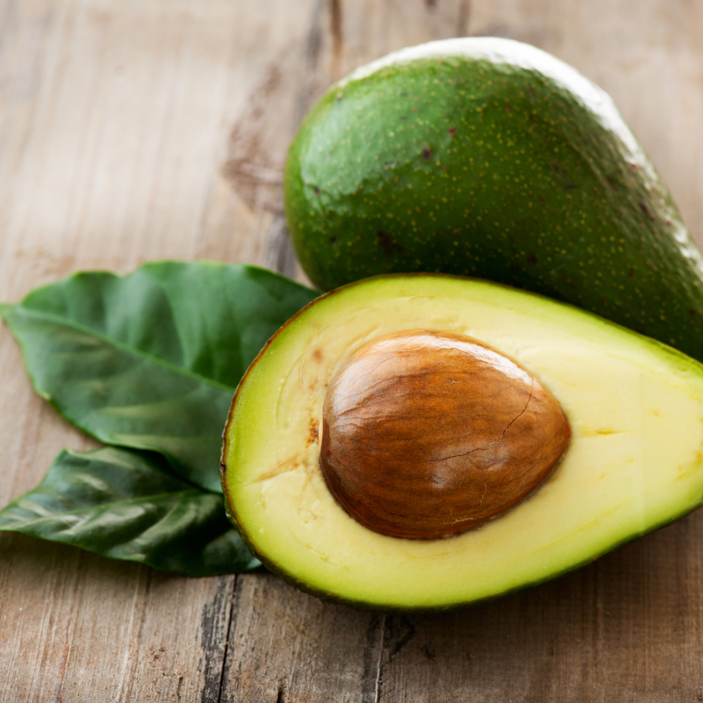  Avocado Exotic 10  Seed (Persea americana) at Rs 999