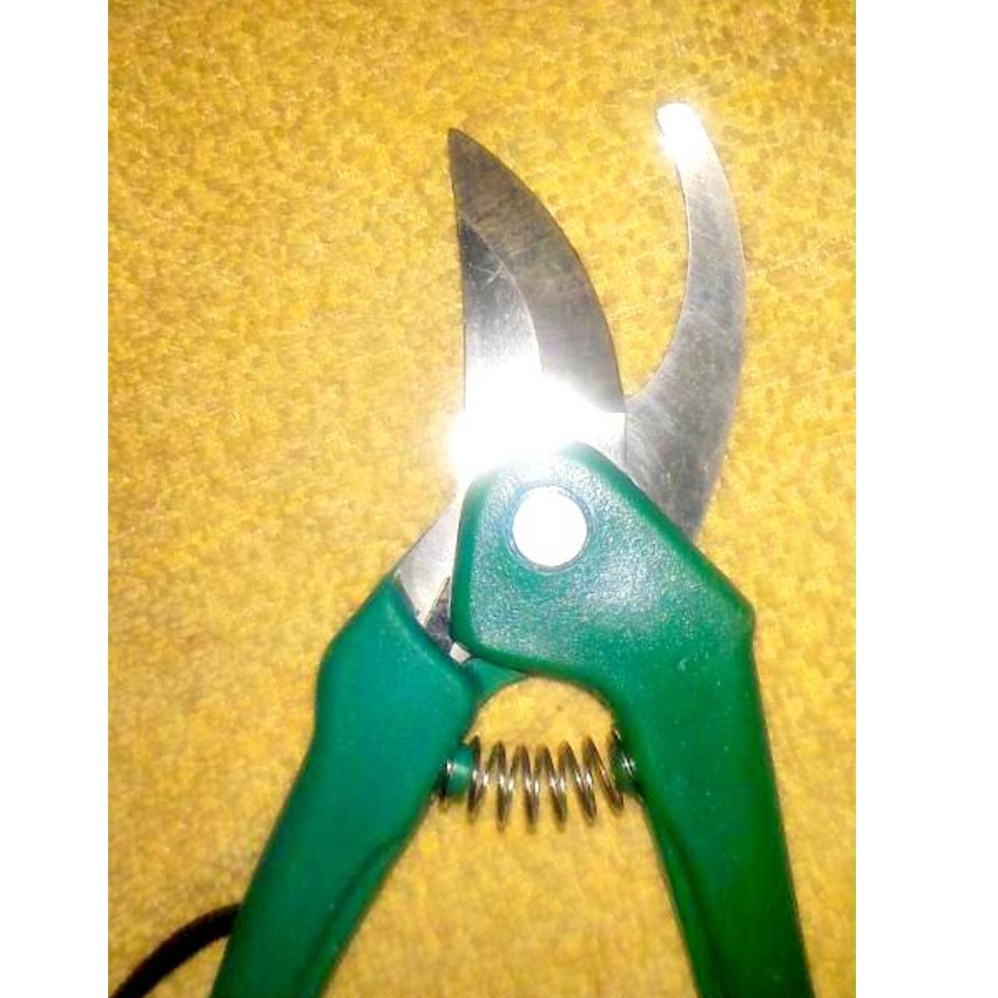 Garden Scissor ,cutter  ( green color ) 