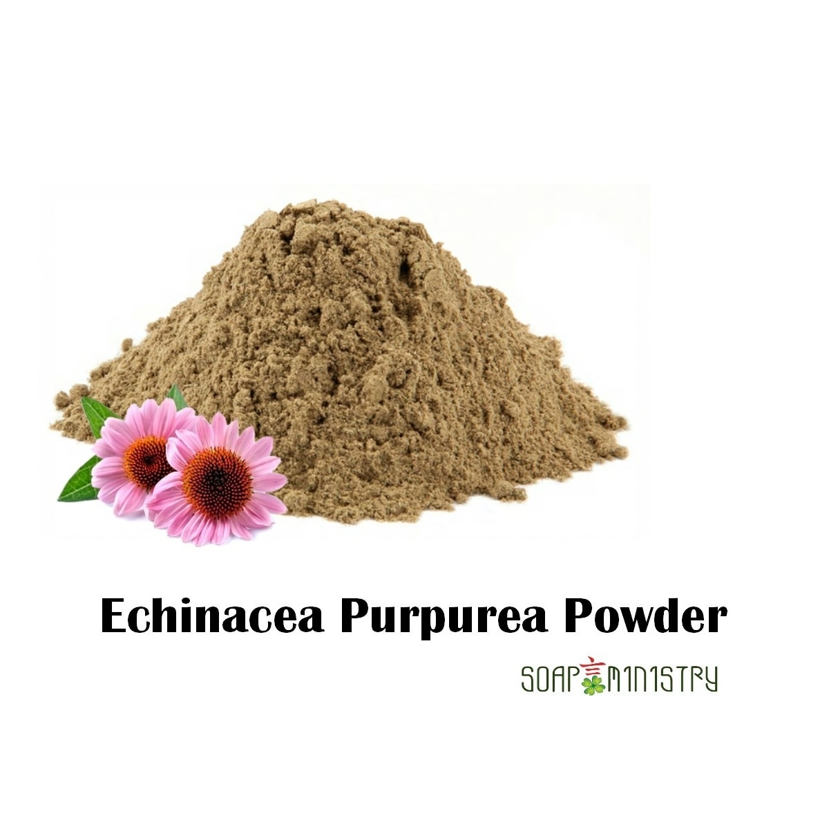Echinacea Purpurea Powder 500g