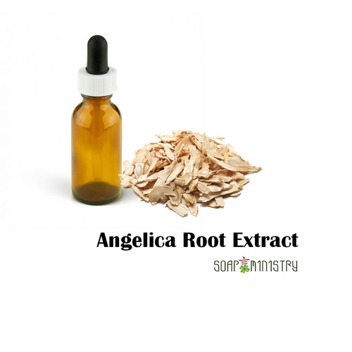 Angelica Root Extract 50g