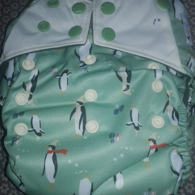 All In Two Double Gusset Baby Diaper, Happy Flute - Green White Penguin