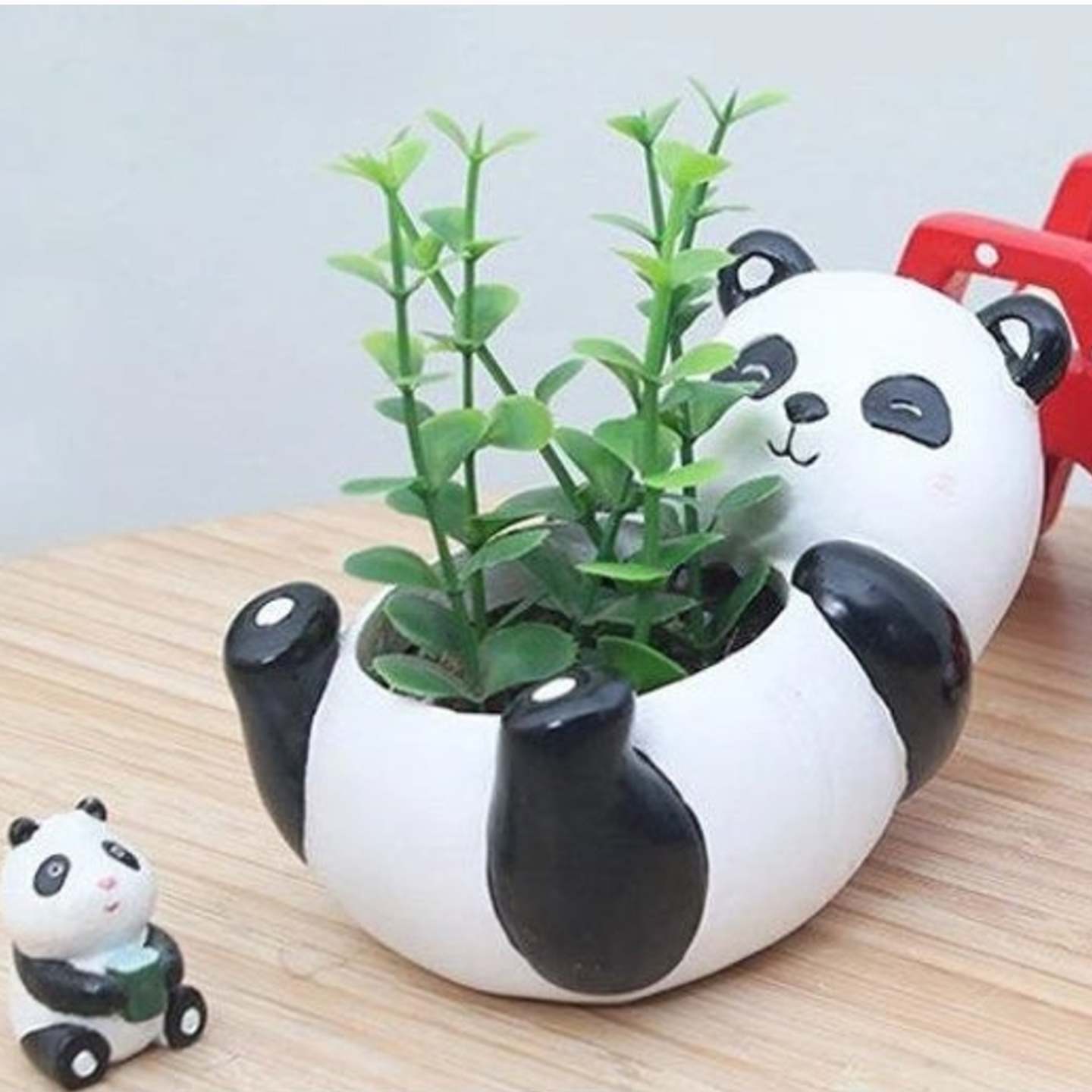 Cute Panda Succulent Planter