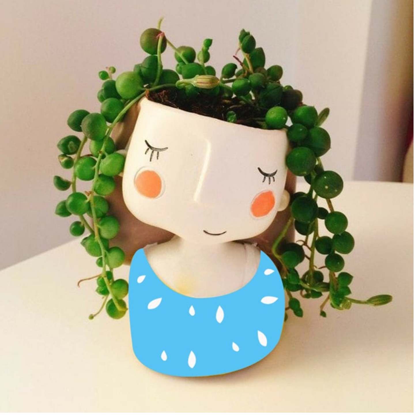 Pretty girl in blue succulent planter 