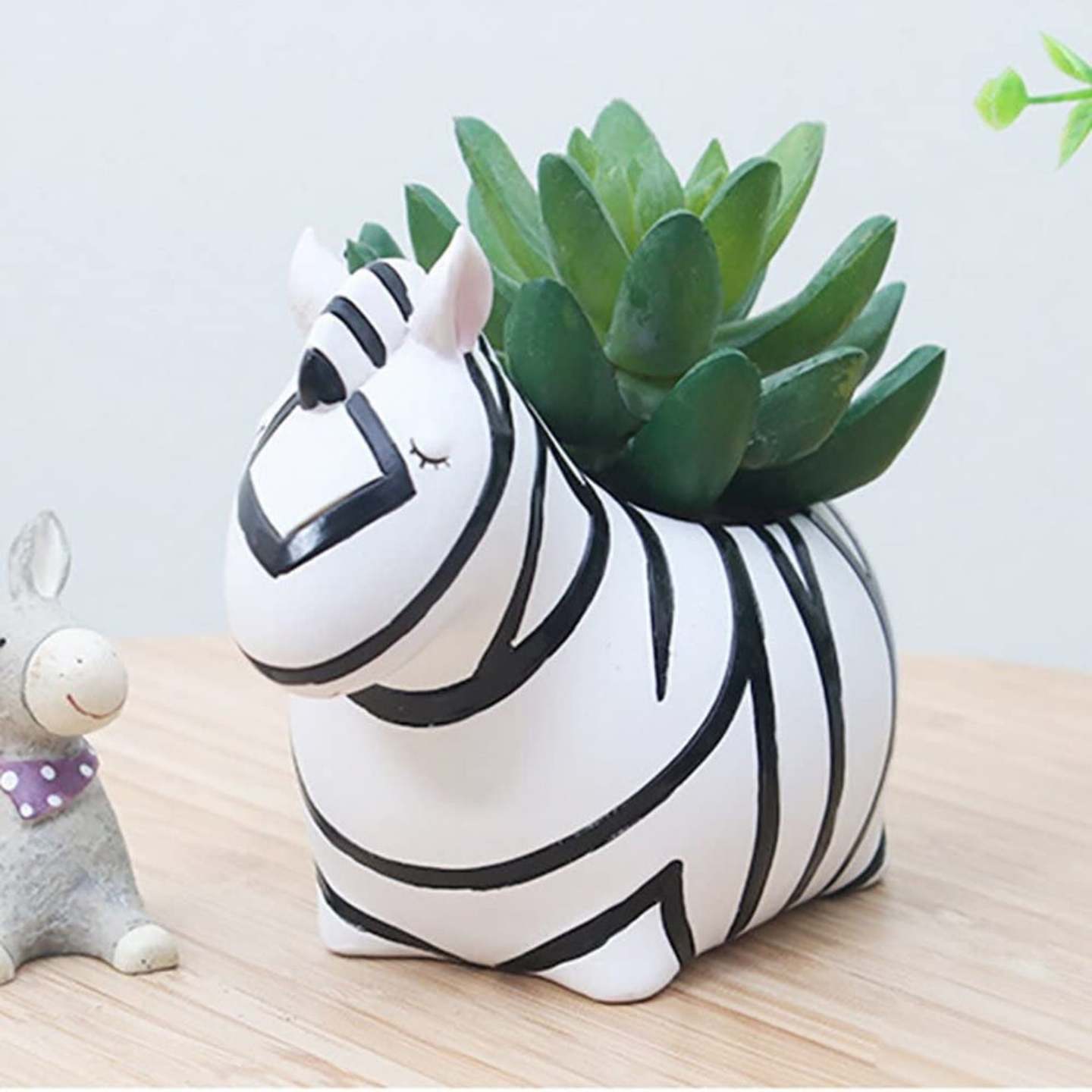 Cute baby zebra succulent planter