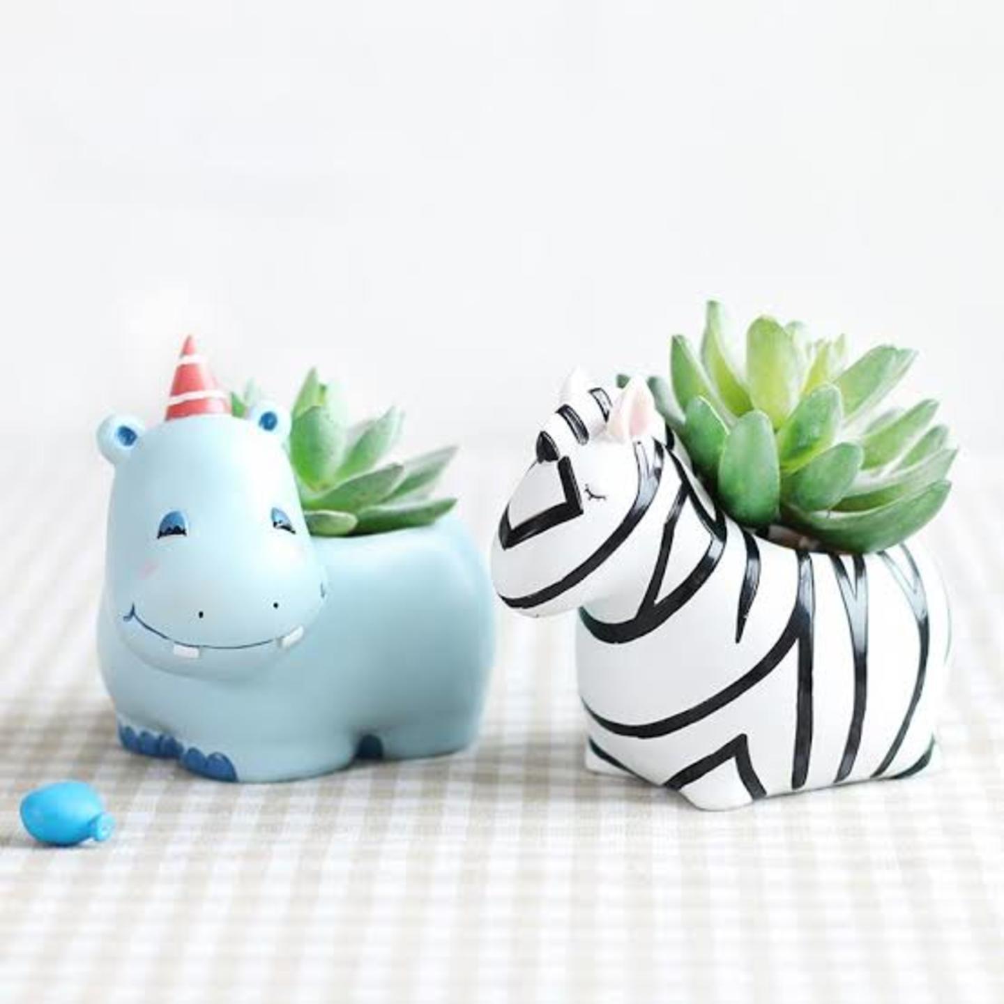 Buddy combo  Cute hippo and zebra planter