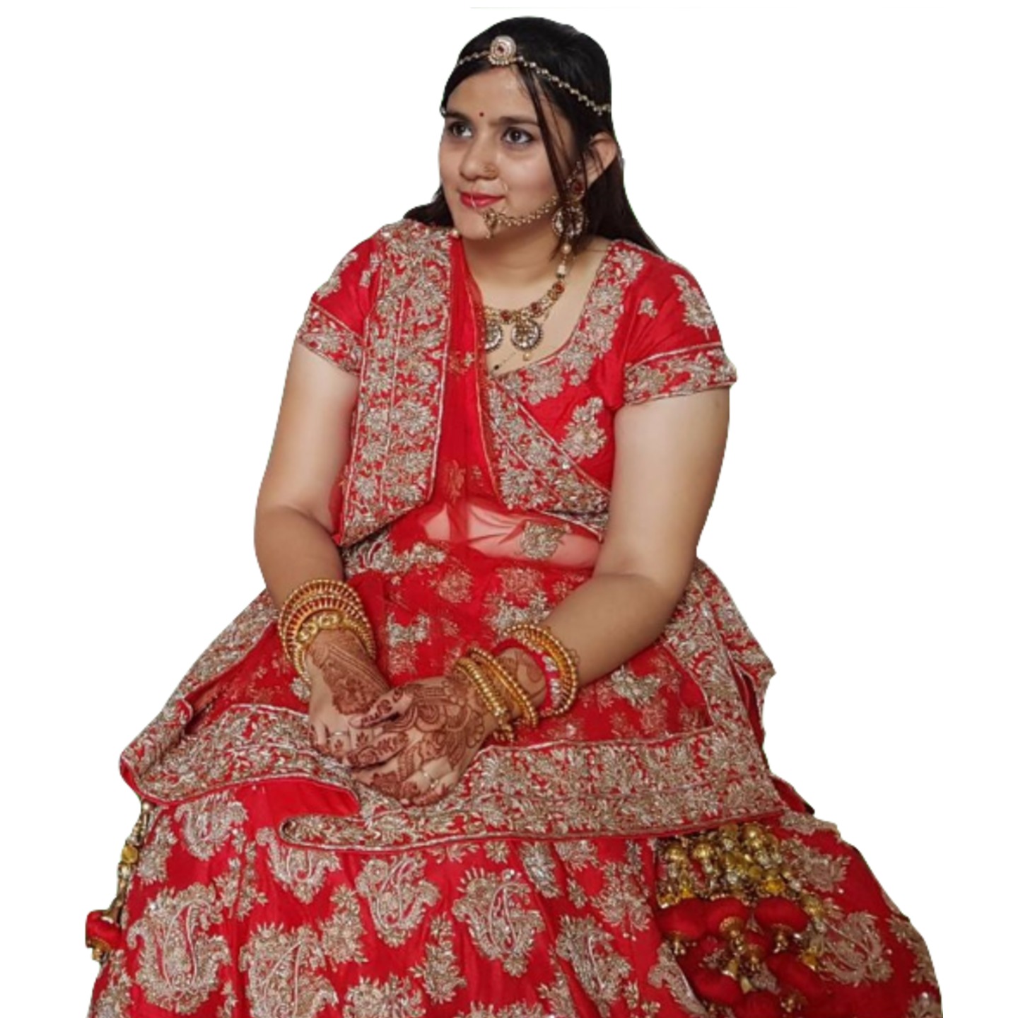 Heavy Work Bari Saree for Bride Designer Wedding Dress Royal Red Lal Ethnic Zari Jari Work