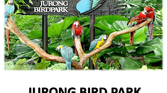 JURONG BIRD PARKRV-1.jpg