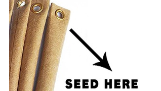 seed in cap.jpg