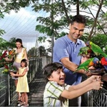 img-1525075760256