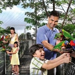 img-1525075905683