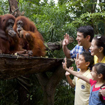 img-1525073720052