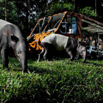 img-1525077758518