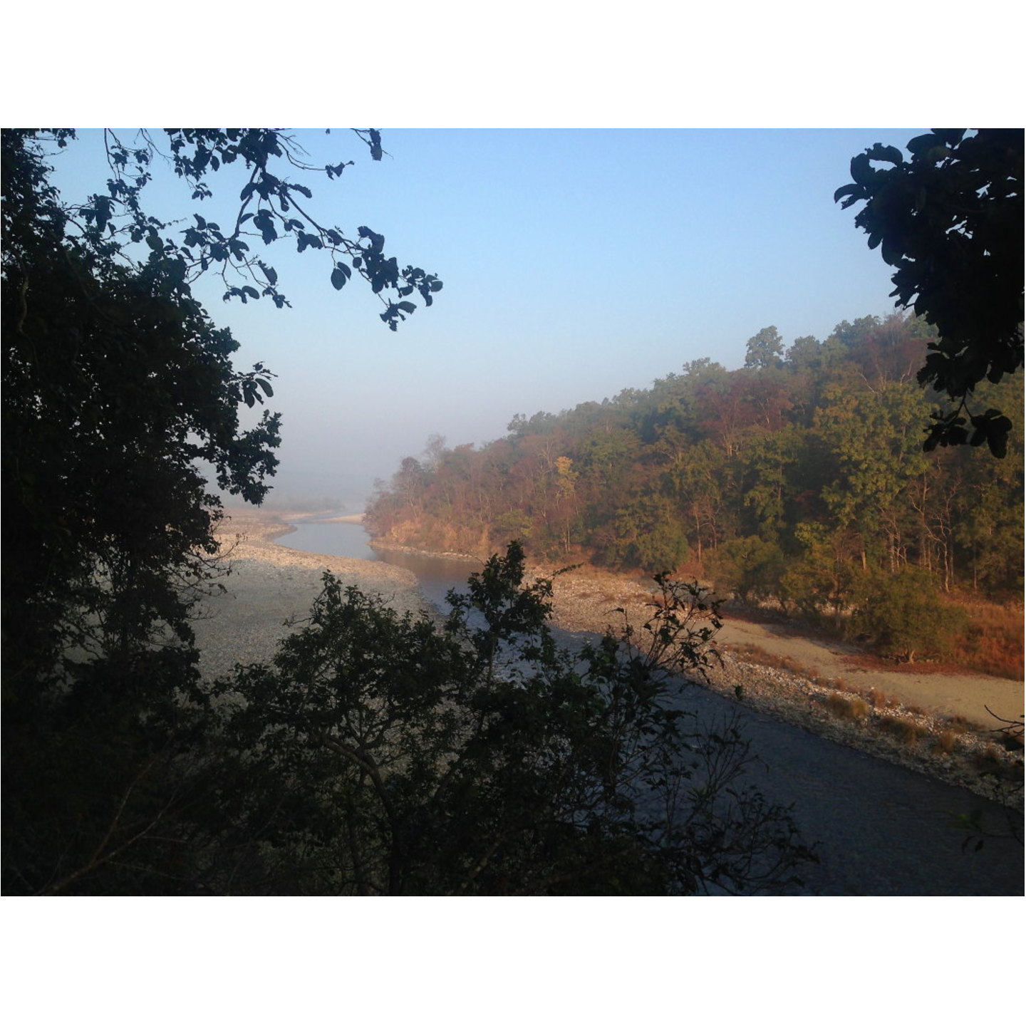 Morning at Ramganga