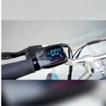 48V Eco Drive PLUS PAB Ebike Electric Bicycle with LTA APPROVED 