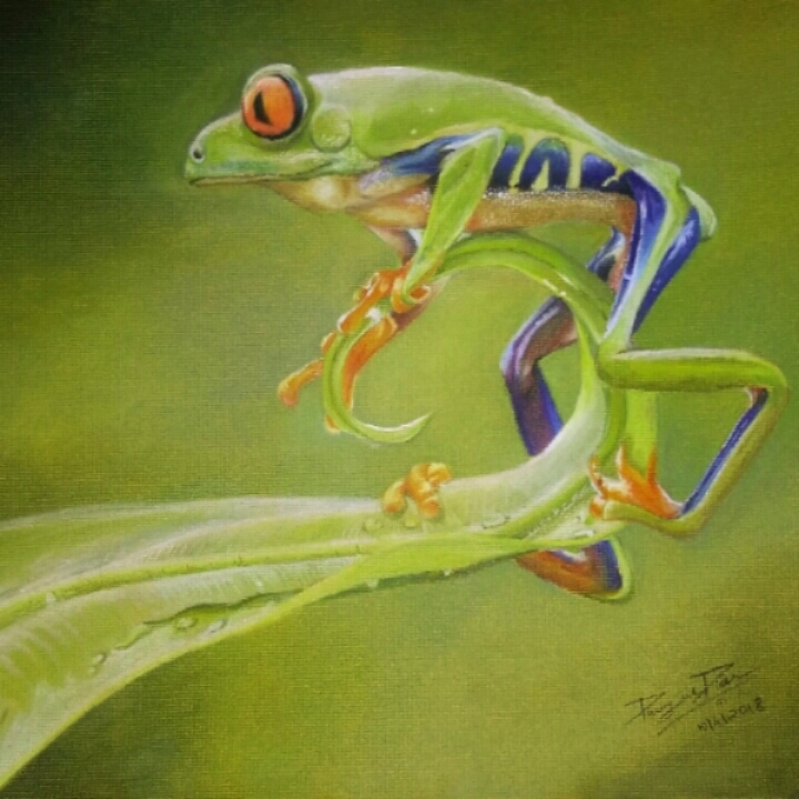 red eye tree frog pastel painting.