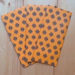 GIFT ENVELOPES - SET OF 3 Nahargarh Mural