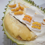 img-1563814562798