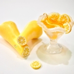 Workshop - Polymer Clay Cane, Lemon Cane and Gin Tonic Charm
