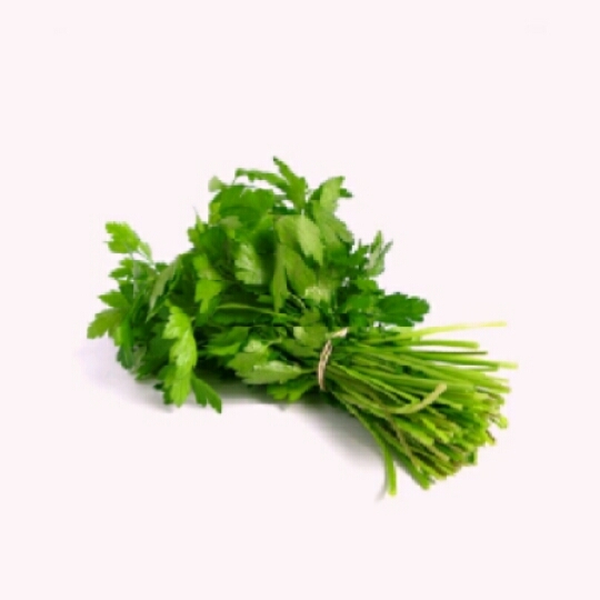 Coriander