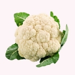 product-name