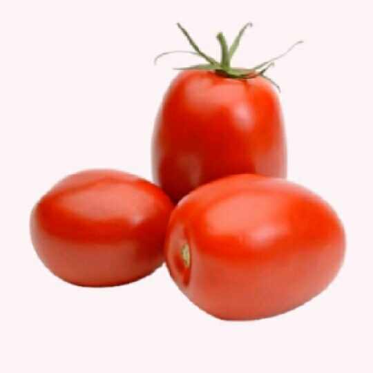 Tomato