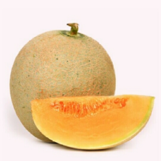 Muskmelon 