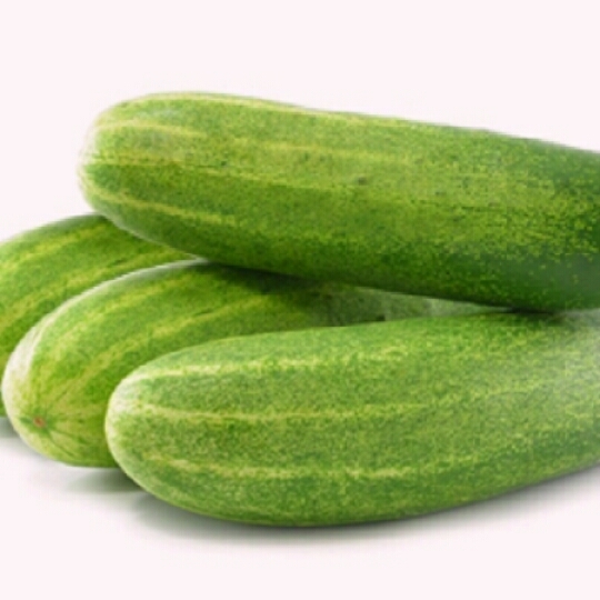 Cucumber