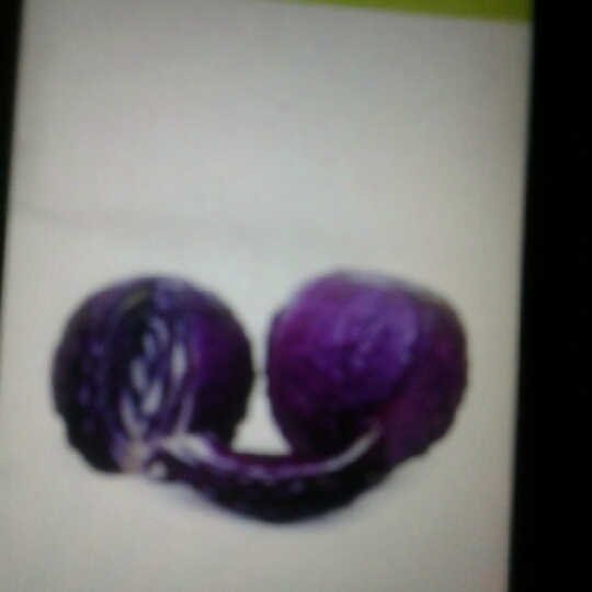 Red Cabbage
